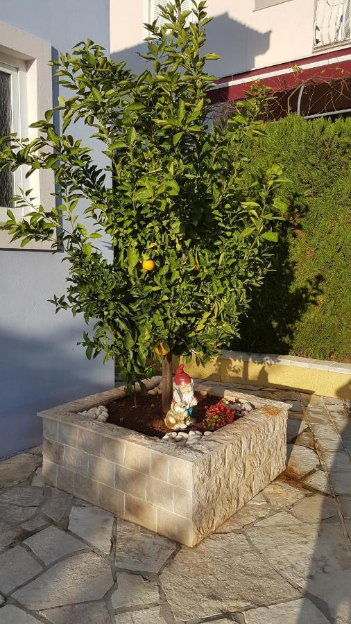 Cosy Villa Near The Beach زادار المظهر الخارجي الصورة